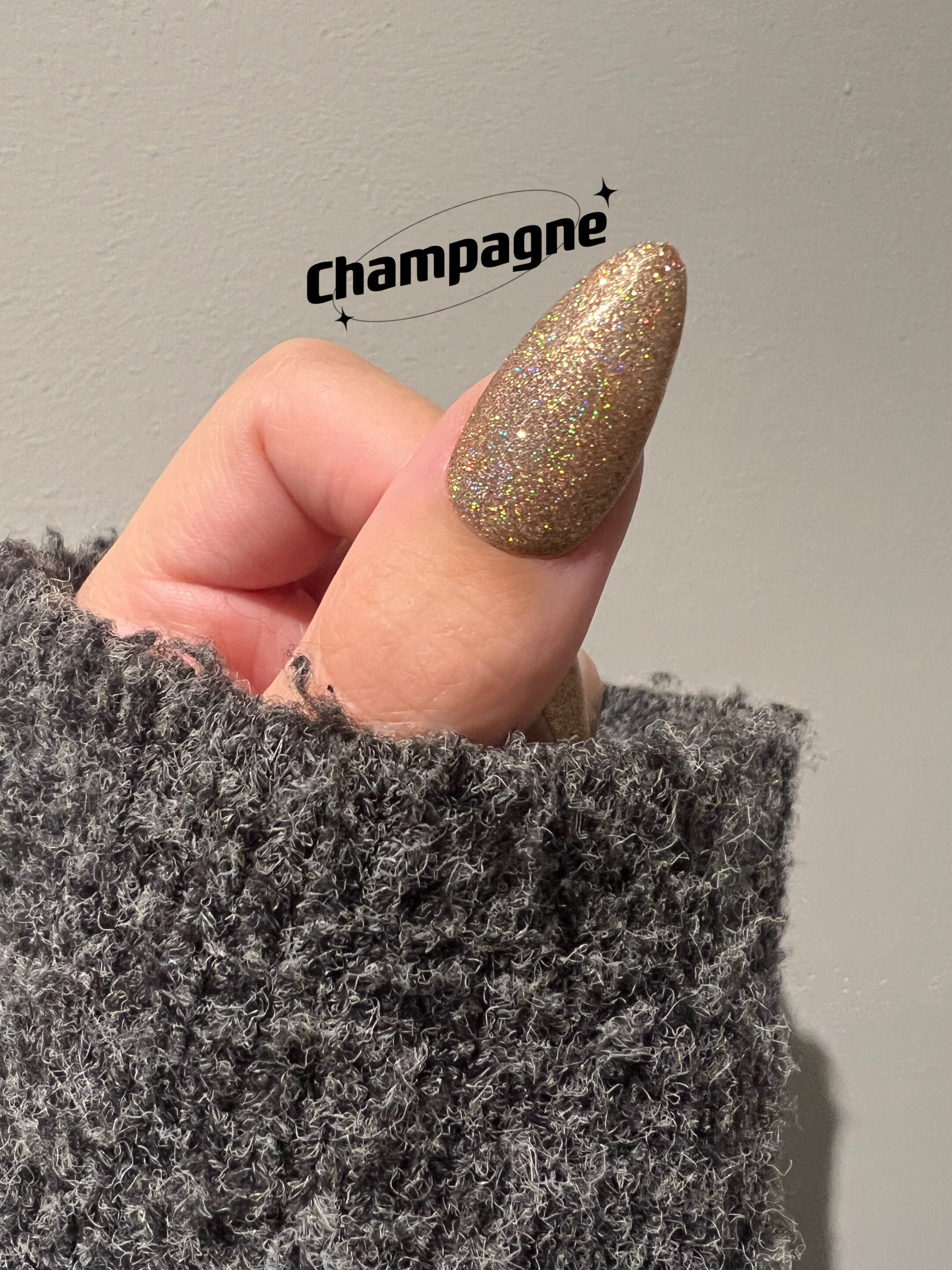 Champagne | Holographic Glitter | Ultra Shine Long Lasting Brush on UV Gels Home Nail DIY False Tips Manicure Nail Art Supply