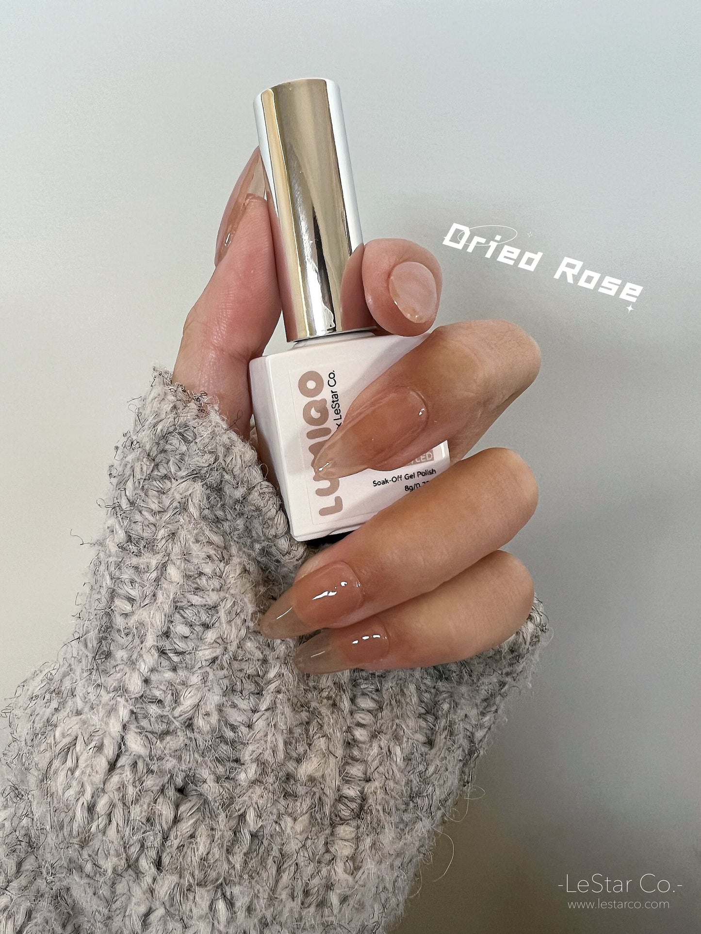 Dried Rose | Sheer Nude Ultra Shine Long Lasting Brush on UV Gels Home Nail DIY False Tips Manicure Nail Art Supply