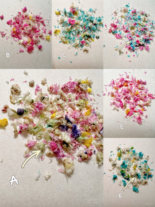 Mixed Real Pressed Dry Flowers dry flowers Pastel for Nail Decals/ Nail Art DIY/press on Fake Nails Supply