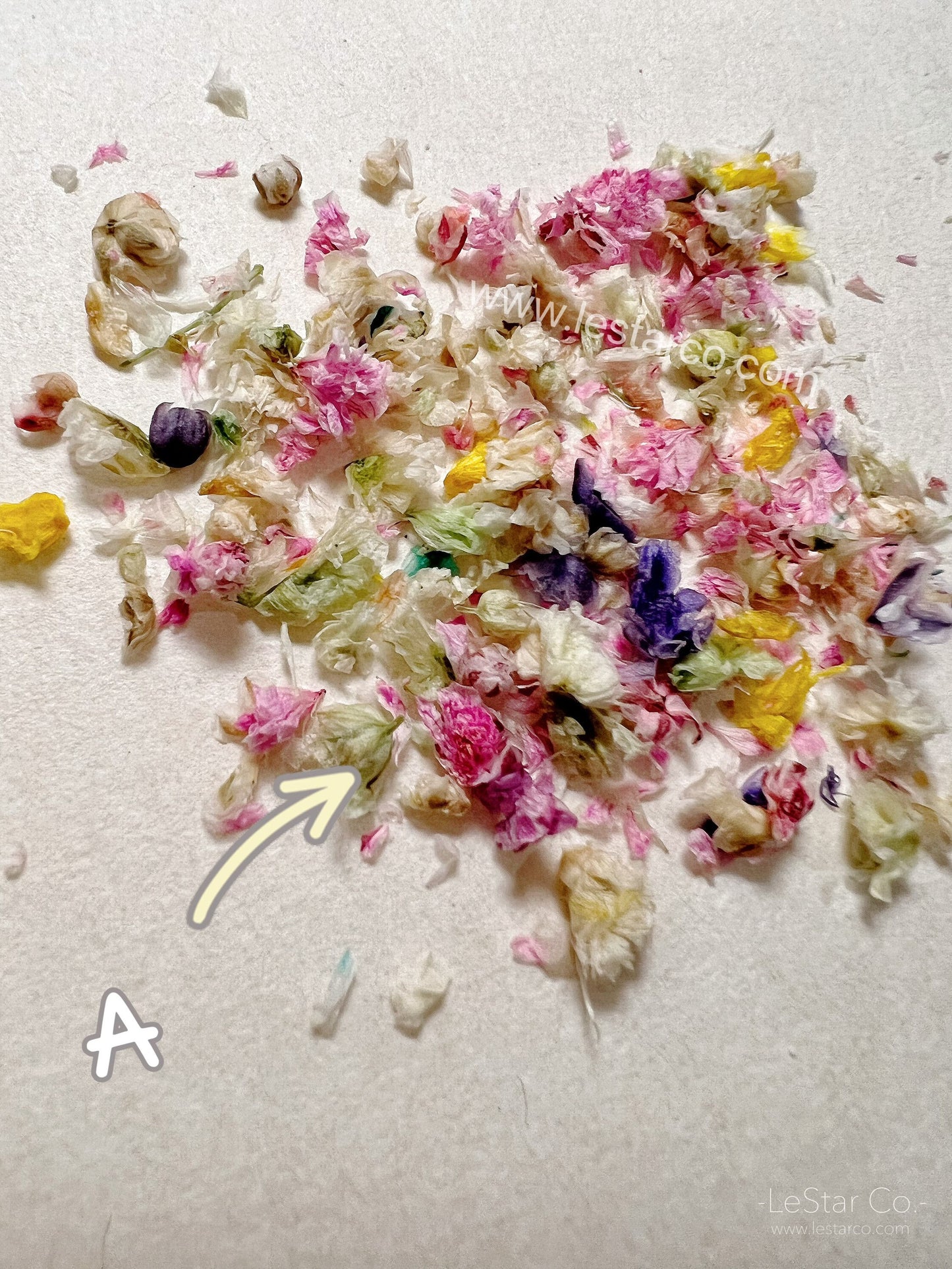 Mixed Real Pressed Dry Flowers dry flowers Pastel for Nail Decals/ Nail Art DIY/press on Fake Nails Supply