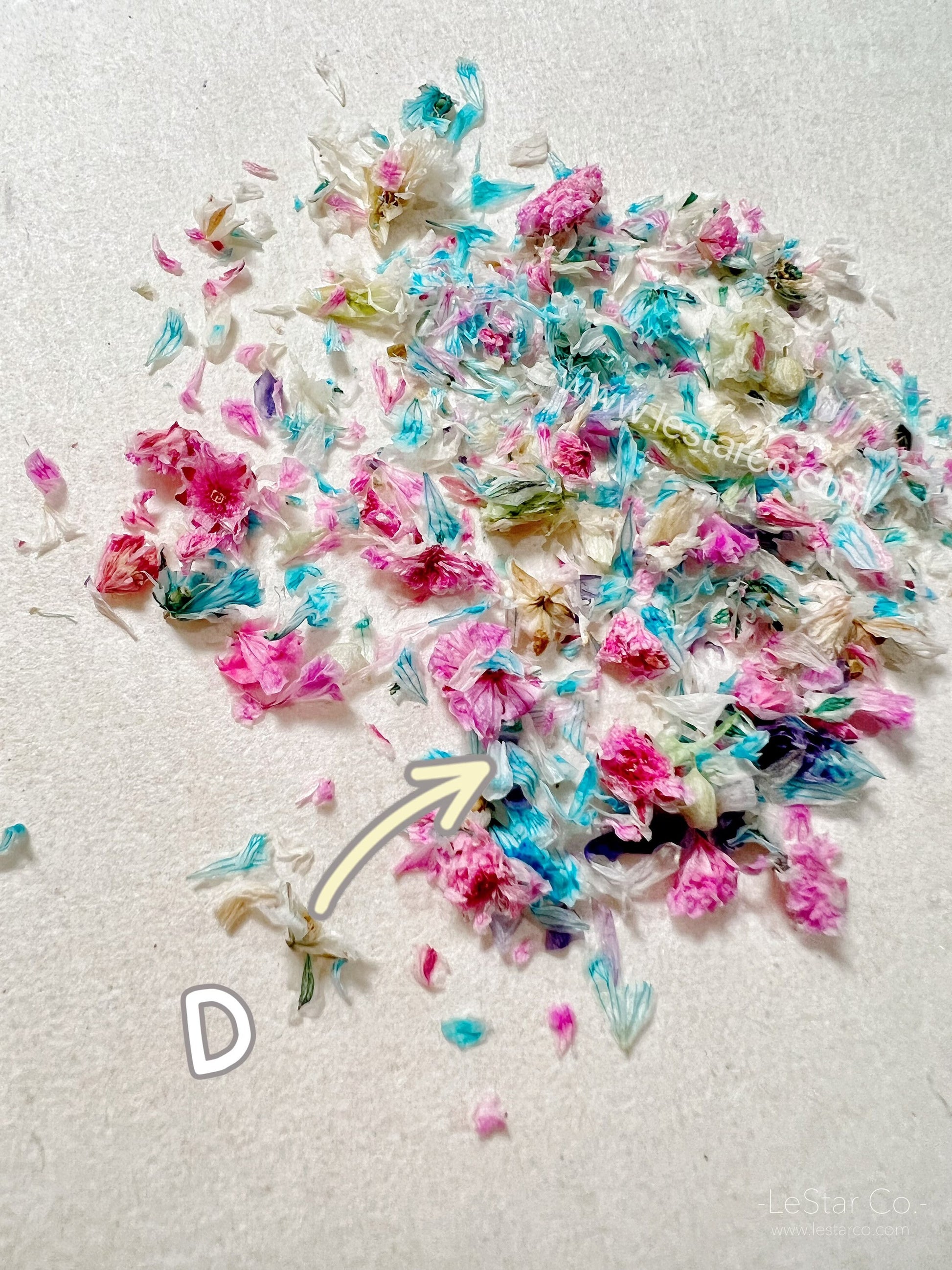 Mixed Real Pressed Dry Flowers dry flowers Pastel for Nail Decals/ Nail Art DIY/press on Fake Nails Supply