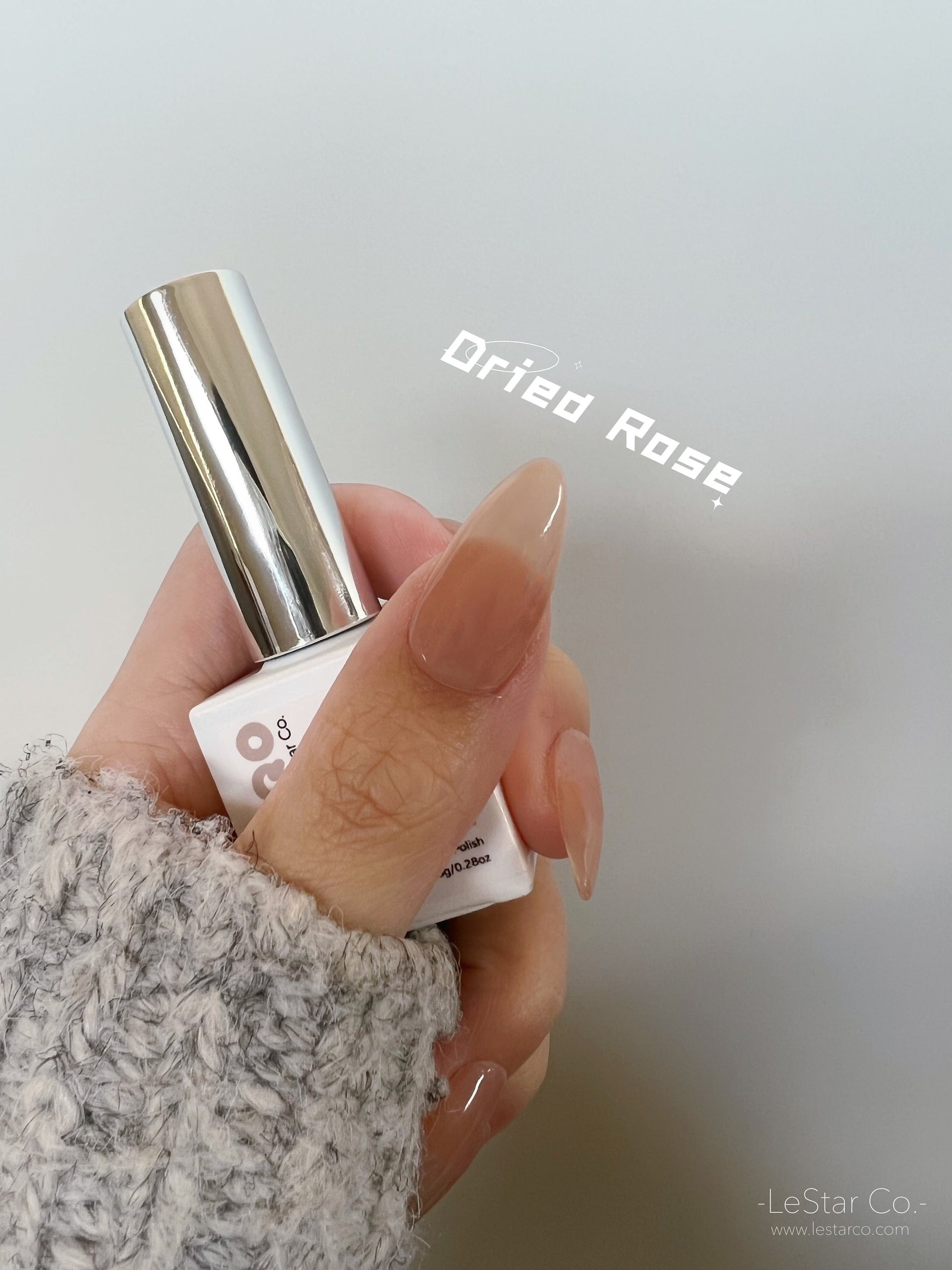 Dried Rose | Sheer Nude Ultra Shine Long Lasting Brush on UV Gels Home Nail DIY False Tips Manicure Nail Art Supply
