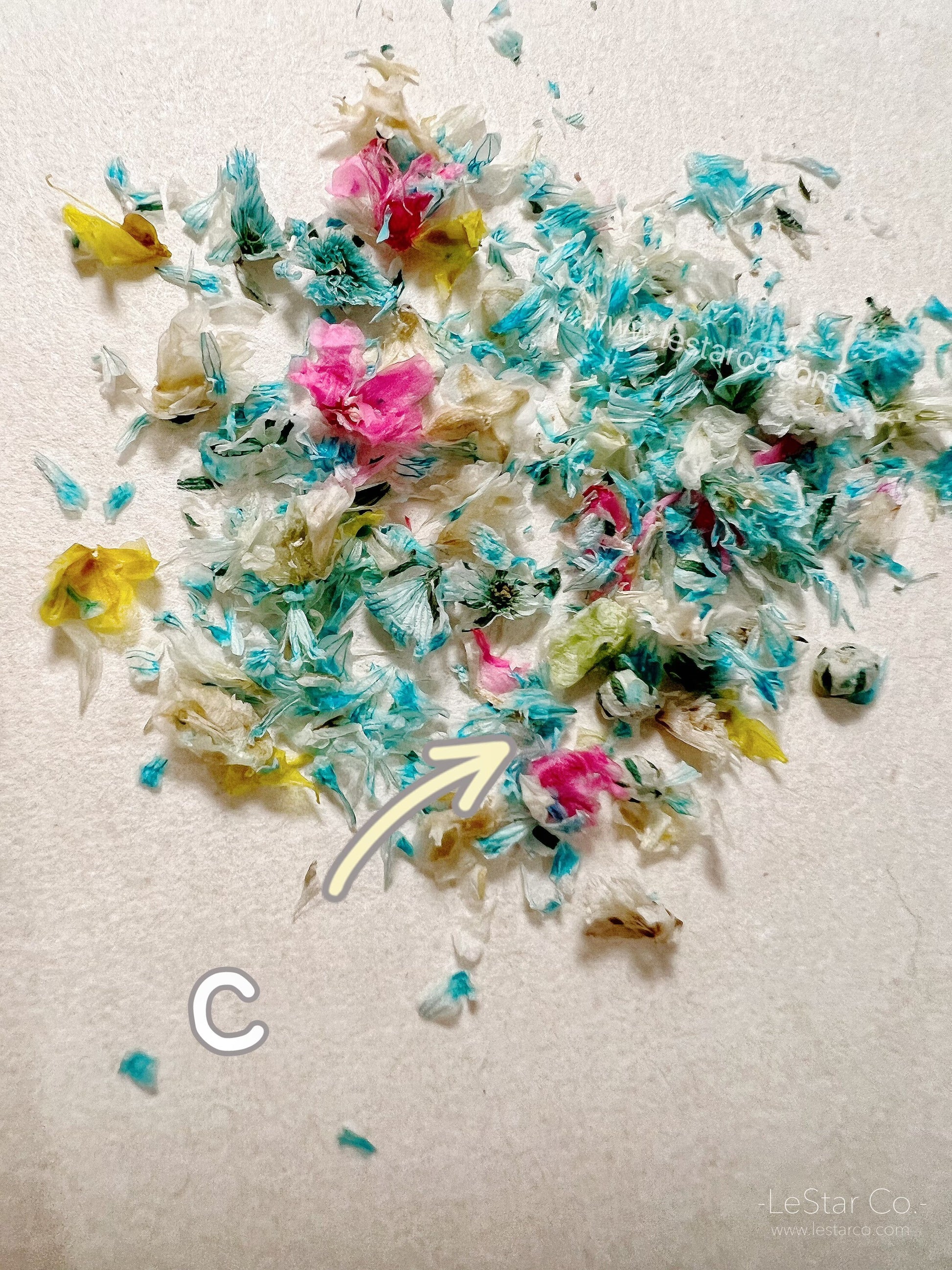 Mixed Real Pressed Dry Flowers dry flowers Pastel for Nail Decals/ Nail Art DIY/press on Fake Nails Supply