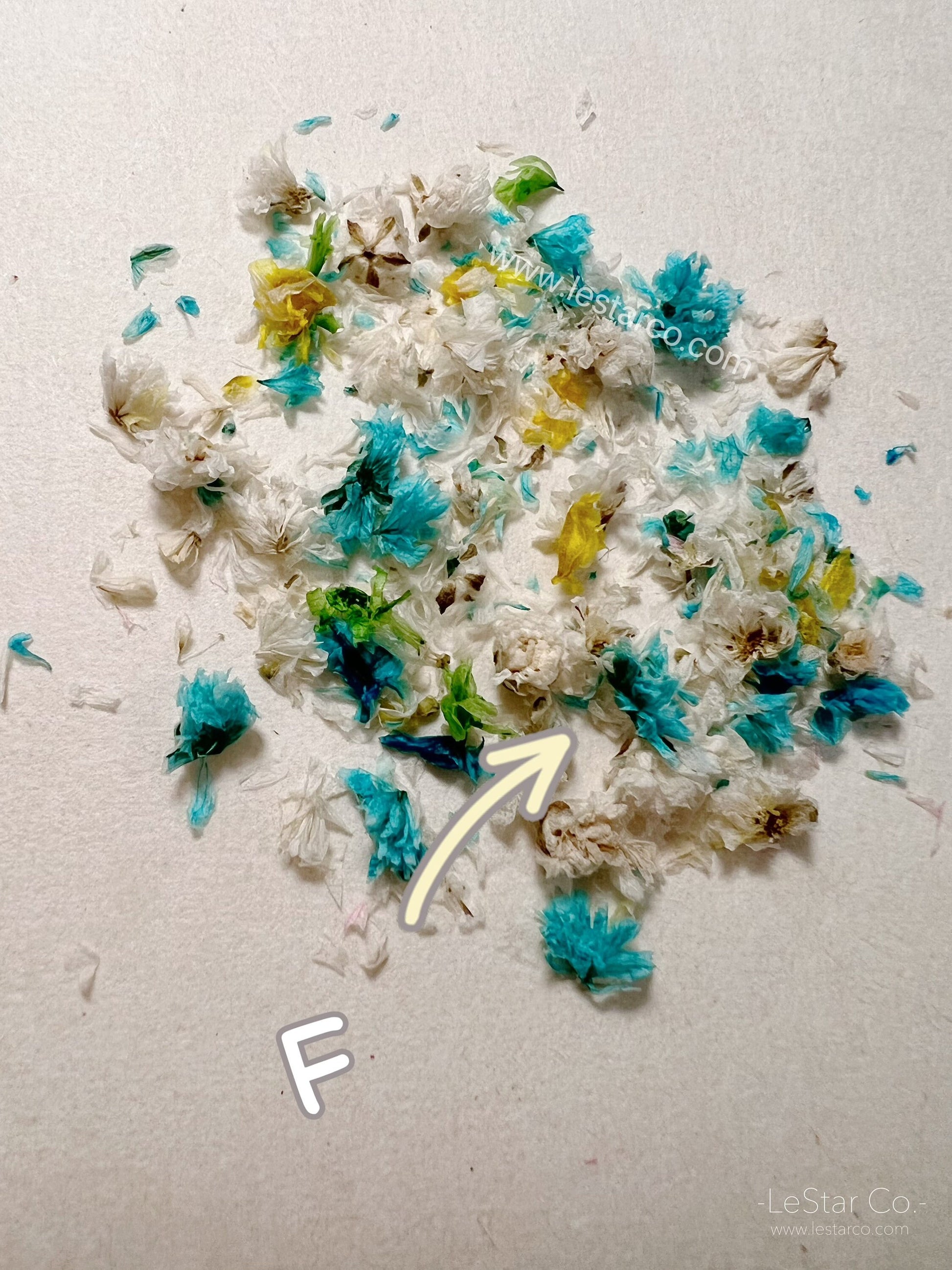 Mixed Real Pressed Dry Flowers dry flowers Pastel for Nail Decals/ Nail Art DIY/press on Fake Nails Supply