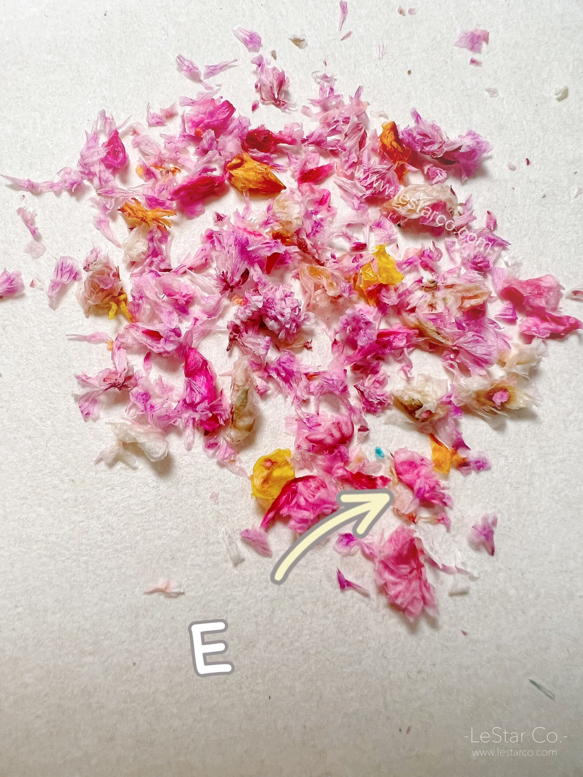 Mixed Real Pressed Dry Flowers dry flowers Pastel for Nail Decals/ Nail Art DIY/press on Fake Nails Supply
