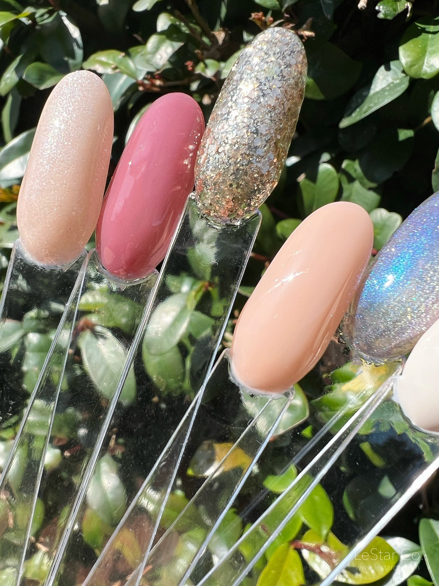Cat Eye Silvermoon | Transparent | Ultra Shine Long Lasting Brush on UV Gels Home Nail DIY False Tips Manicure Nail Art Supply