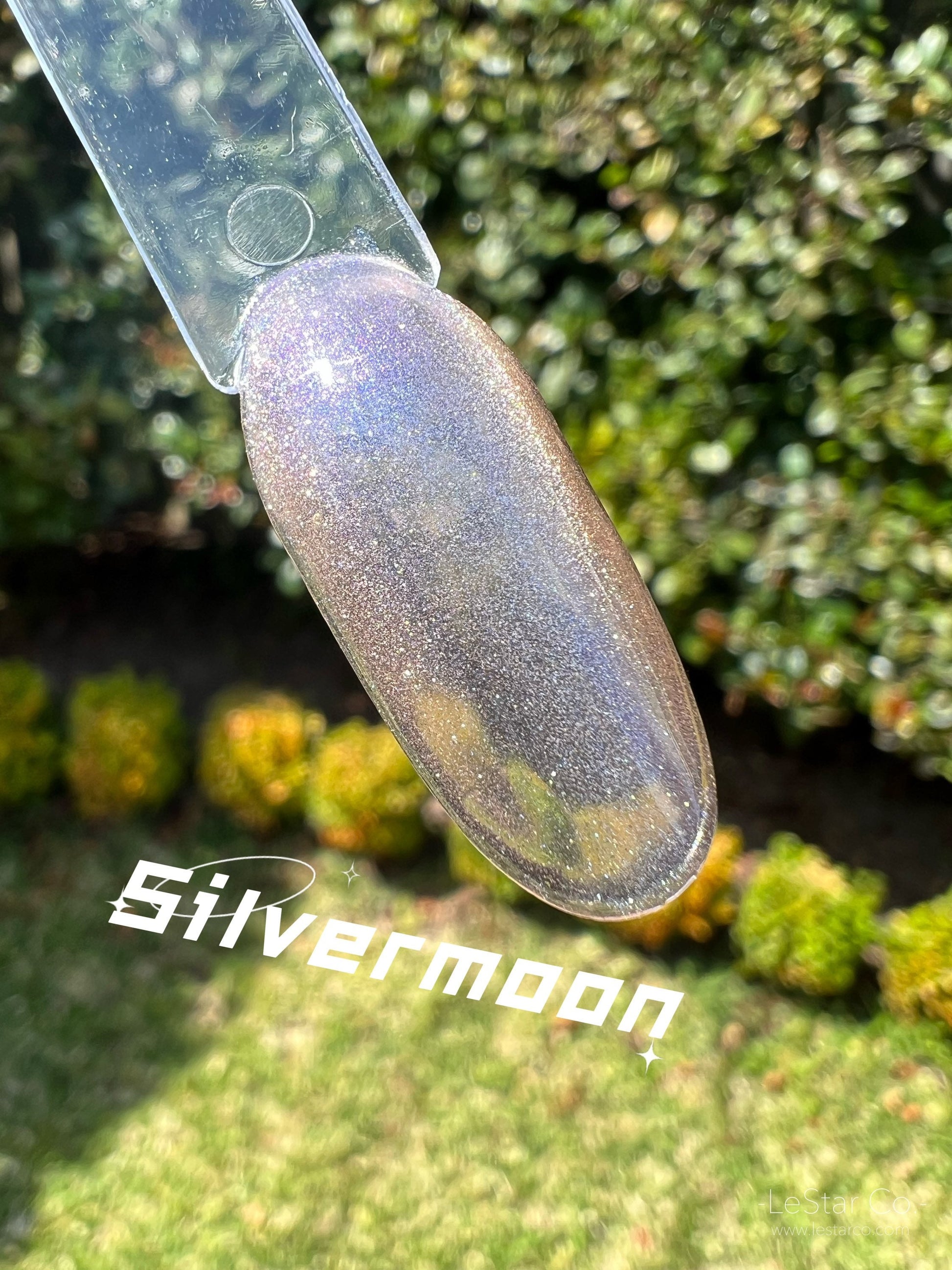 Cat Eye Silvermoon | Transparent | Ultra Shine Long Lasting Brush on UV Gels Home Nail DIY False Tips Manicure Nail Art Supply