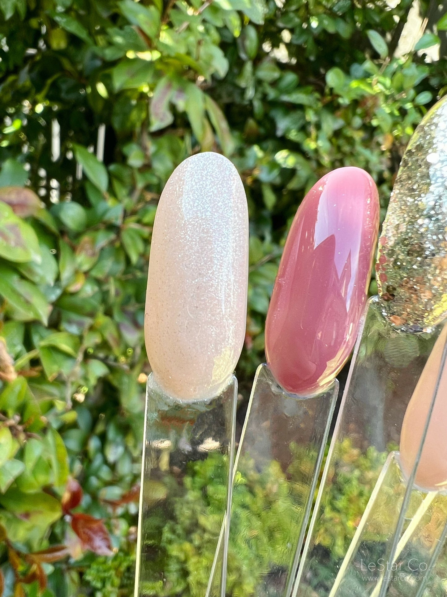 Ballet Shoes | Nude mix Silver Shimmer | Ultra Shine Long Lasting Brush on UV Gels Home Nail DIY False Tips Manicure Nail Art Supply