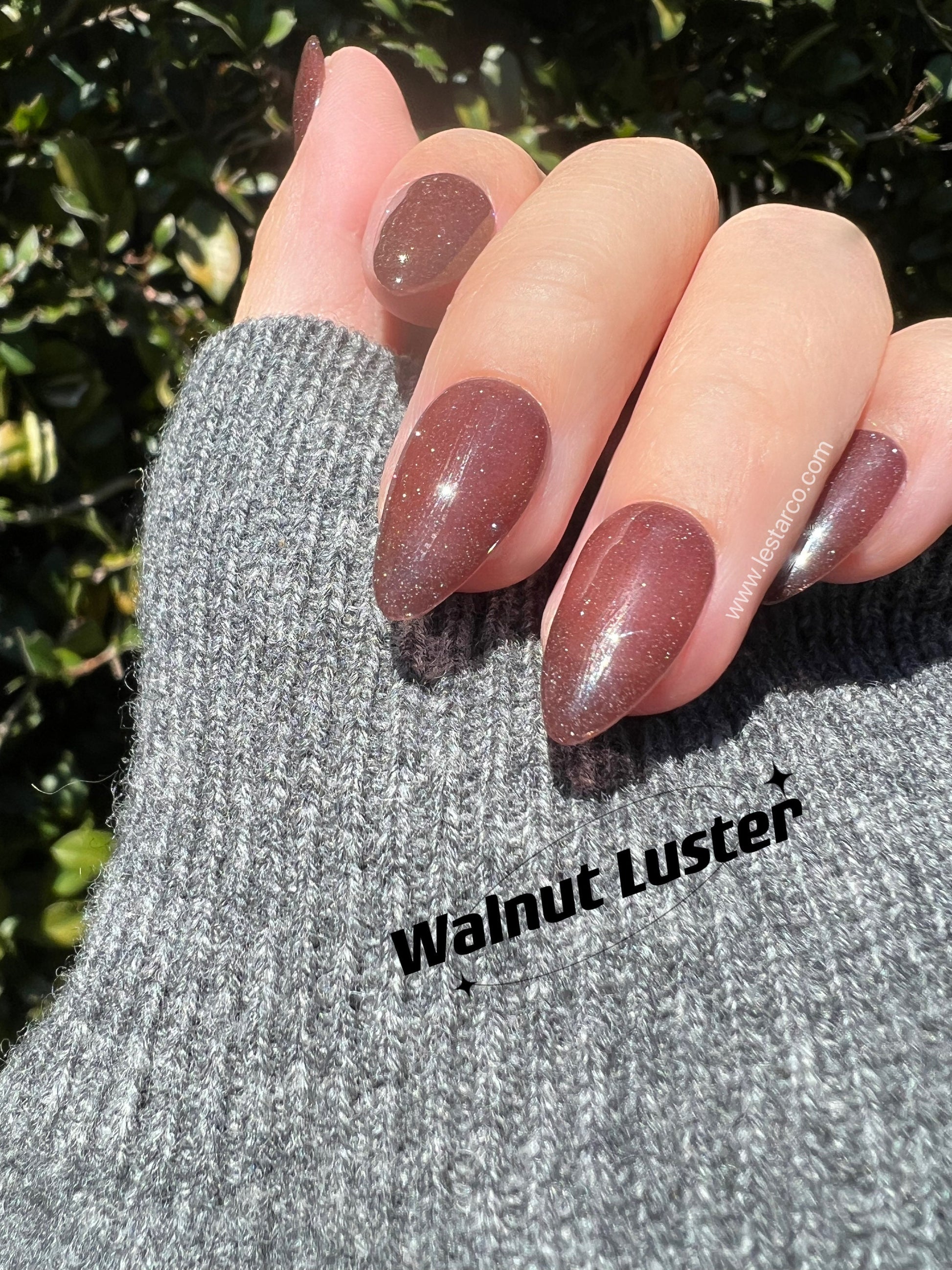 Walnut Luster | Sheer Brown w/ Silver Glitter | Ultra Shine Long Lasting Brush on UV Gels Home Nail DIY False Tips Manicure Nail Art Supply