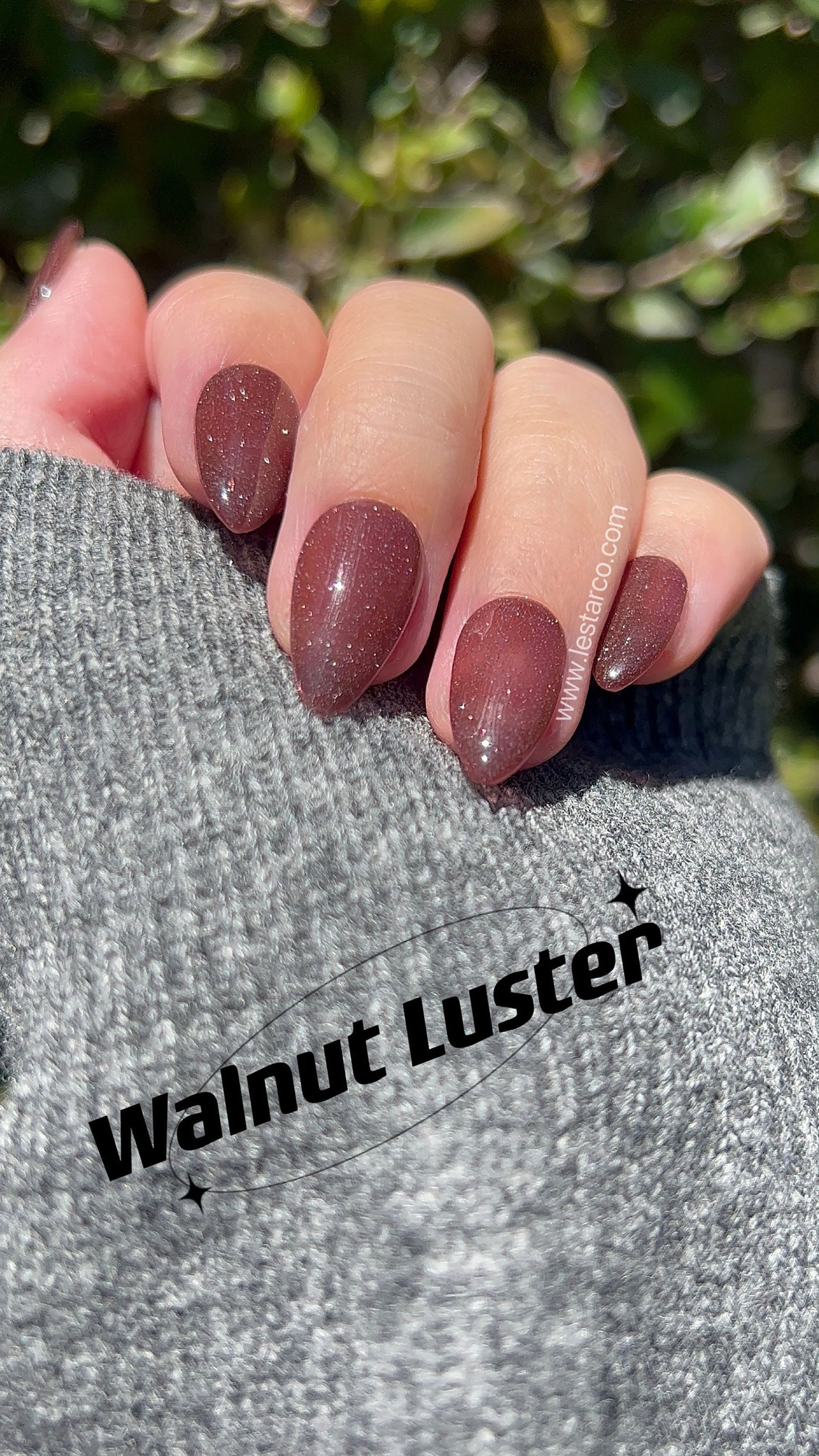 Walnut Luster | Sheer Brown w/ Silver Glitter | Ultra Shine Long Lasting Brush on UV Gels Home Nail DIY False Tips Manicure Nail Art Supply
