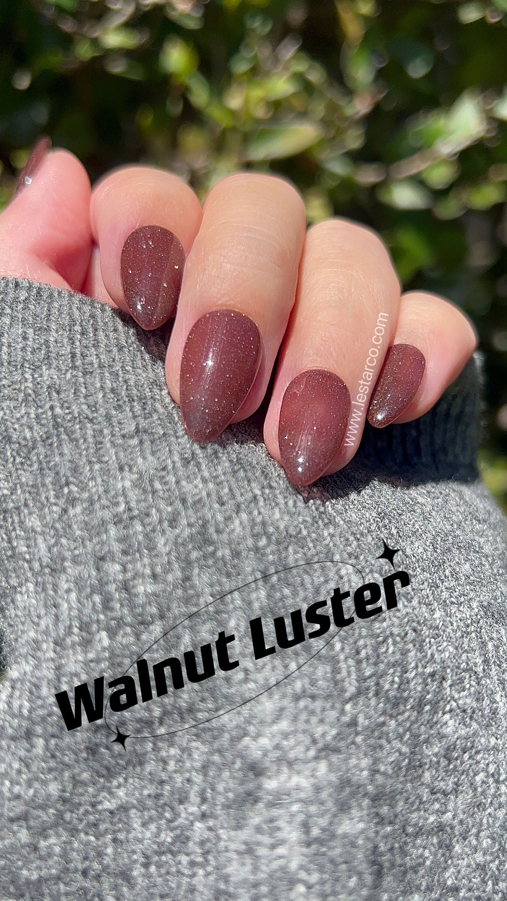 Walnut Luster | Sheer Brown w/ Silver Glitter | Ultra Shine Long Lasting Brush on UV Gels Home Nail DIY False Tips Manicure Nail Art Supply