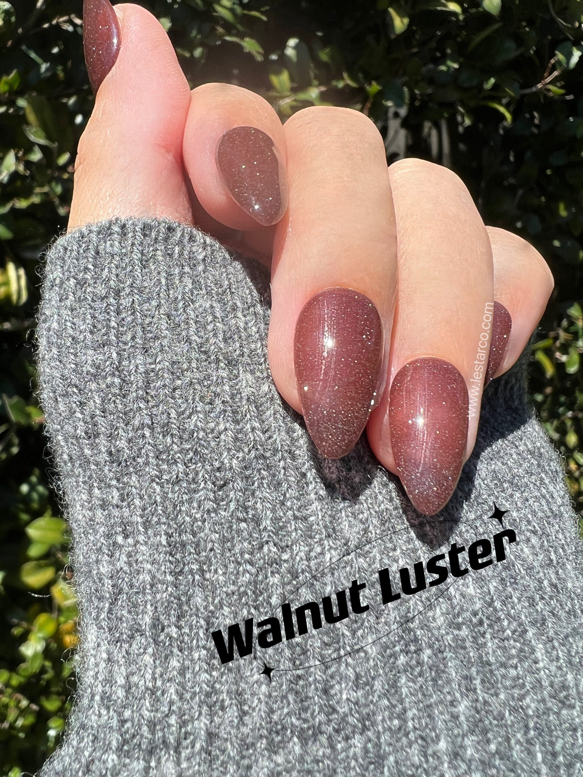 Walnut Luster | Sheer Brown w/ Silver Glitter | Ultra Shine Long Lasting Brush on UV Gels Home Nail DIY False Tips Manicure Nail Art Supply