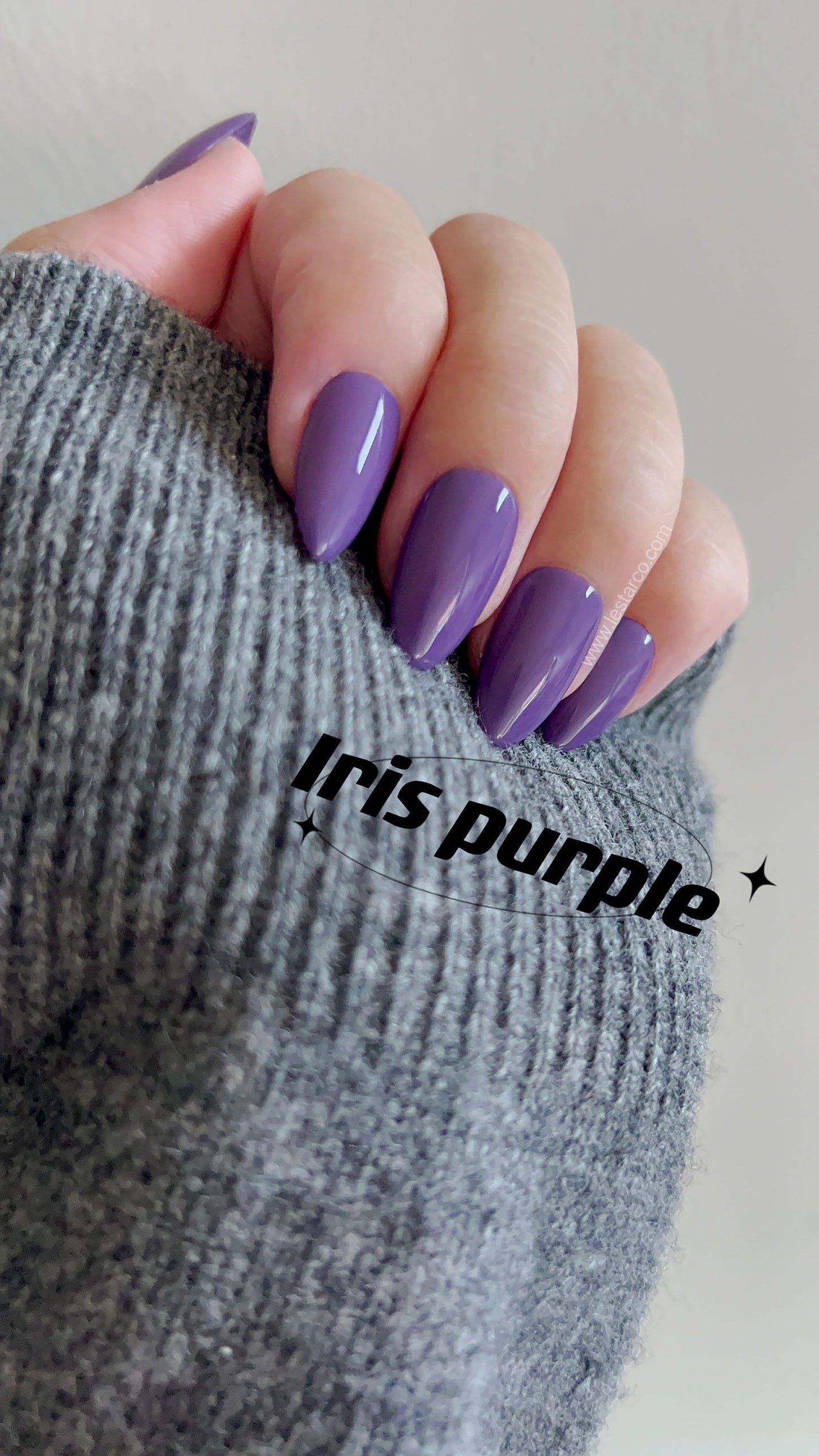 Iris Purple | Gel Polish | Ultra Shine Long Lasting Brush on UV Gels Home Nail DIY False Tips Manicure Nail Art Supply