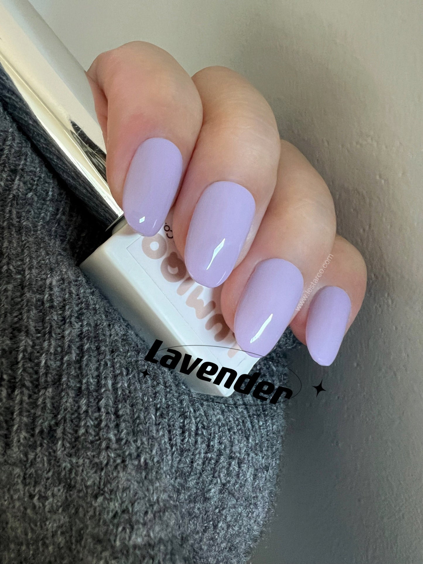 Lavender | Light Purple Gel Polish | Ultra Shine Long Lasting Brush on UV Gels Home Nail DIY False Tips Manicure Nail Art Supply