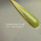 Lustrous Leaf Cat Eye Gel Polish | Green w/Gold Shimmer | Long Lasting Brush on UV Gels Nail DIY False Tips Manicure Nail Art Supply GP497zz