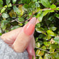 Strawberry Ice | Sheer Nude Coral Pink | Ultra Shine Long Lasting Brush on UV Gels Home Nail DIY False Tips Manicure Nail Art Supply