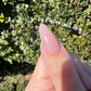 Twinkie Love | Sheer Pink w/ Pink Shimmer | Ultra Shine Long Lasting Brush on UV Gels Home Nail DIY False Tips Manicure Nail Art Supply
