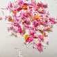 Mixed Real Pressed Dry Flowers dry flowers Pastel for Nail Decals/ Nail Art DIY/press on Fake Nails Supply