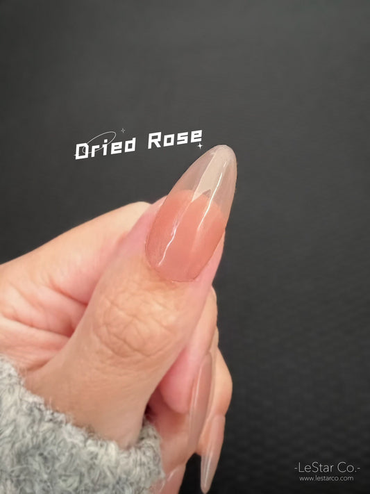 Dried Rose | Sheer Nude Ultra Shine Long Lasting Brush on UV Gels Home Nail DIY False Tips Manicure Nail Art Supply