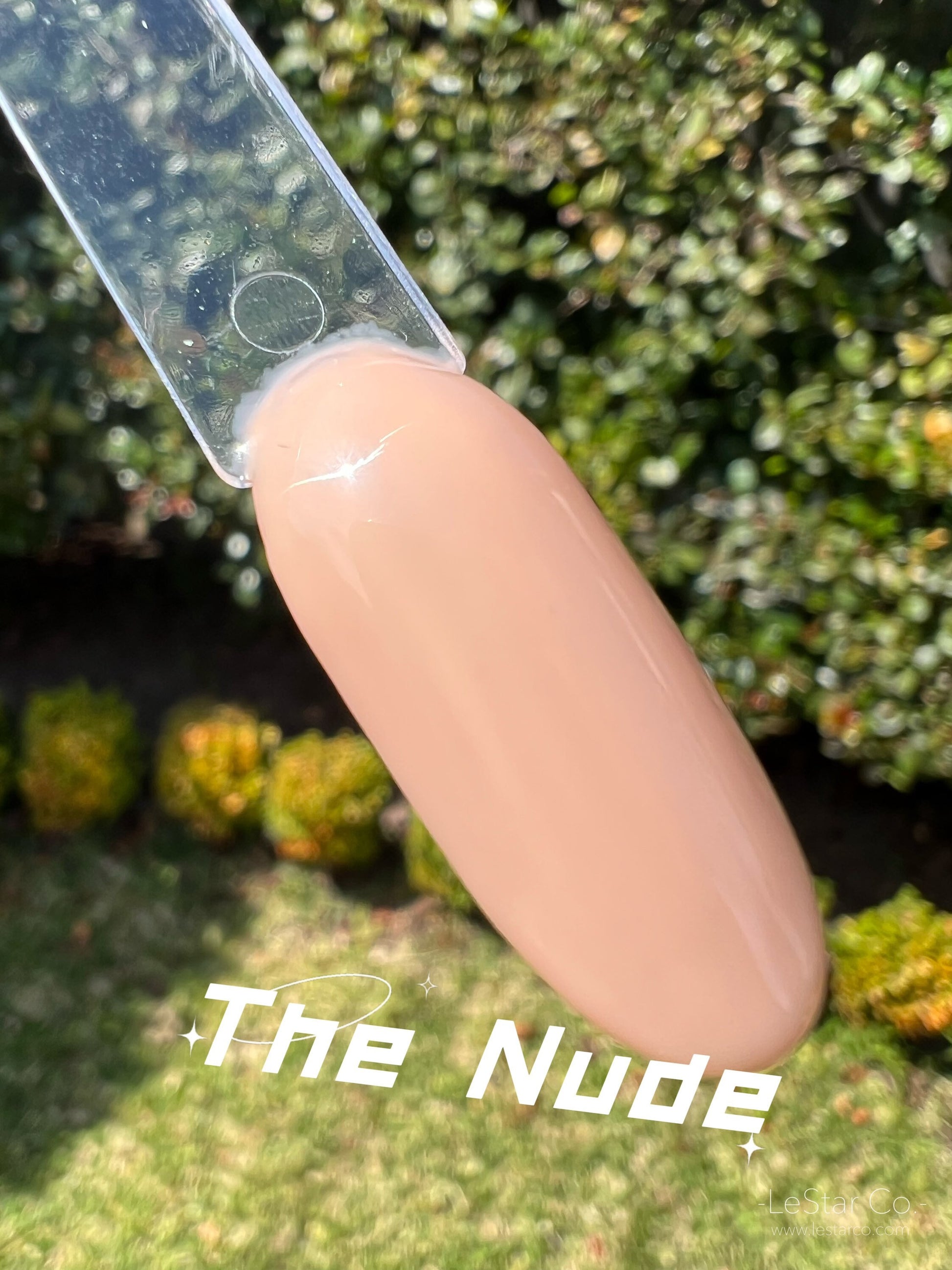 The Nude | Natural Nude | Ultra Shine Long Lasting Brush on UV Gels Home Nail DIY False Tips Manicure Nail Art Supply
