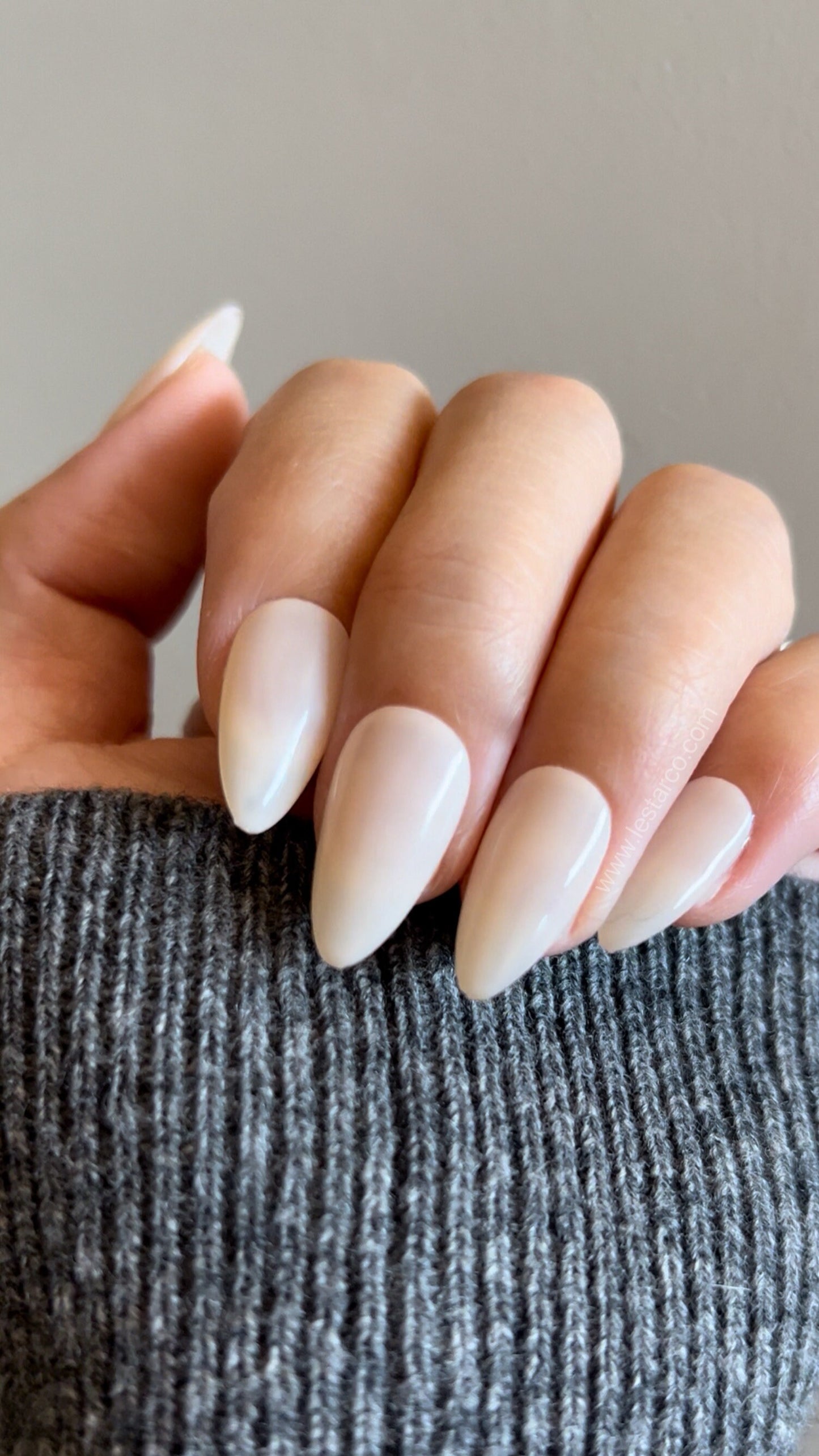 Subtle Beige | Sheer Nude Colour | Ultra Shine Long Lasting Brush on UV Gels Home Nail DIY False Tips Manicure Nail Art Supply