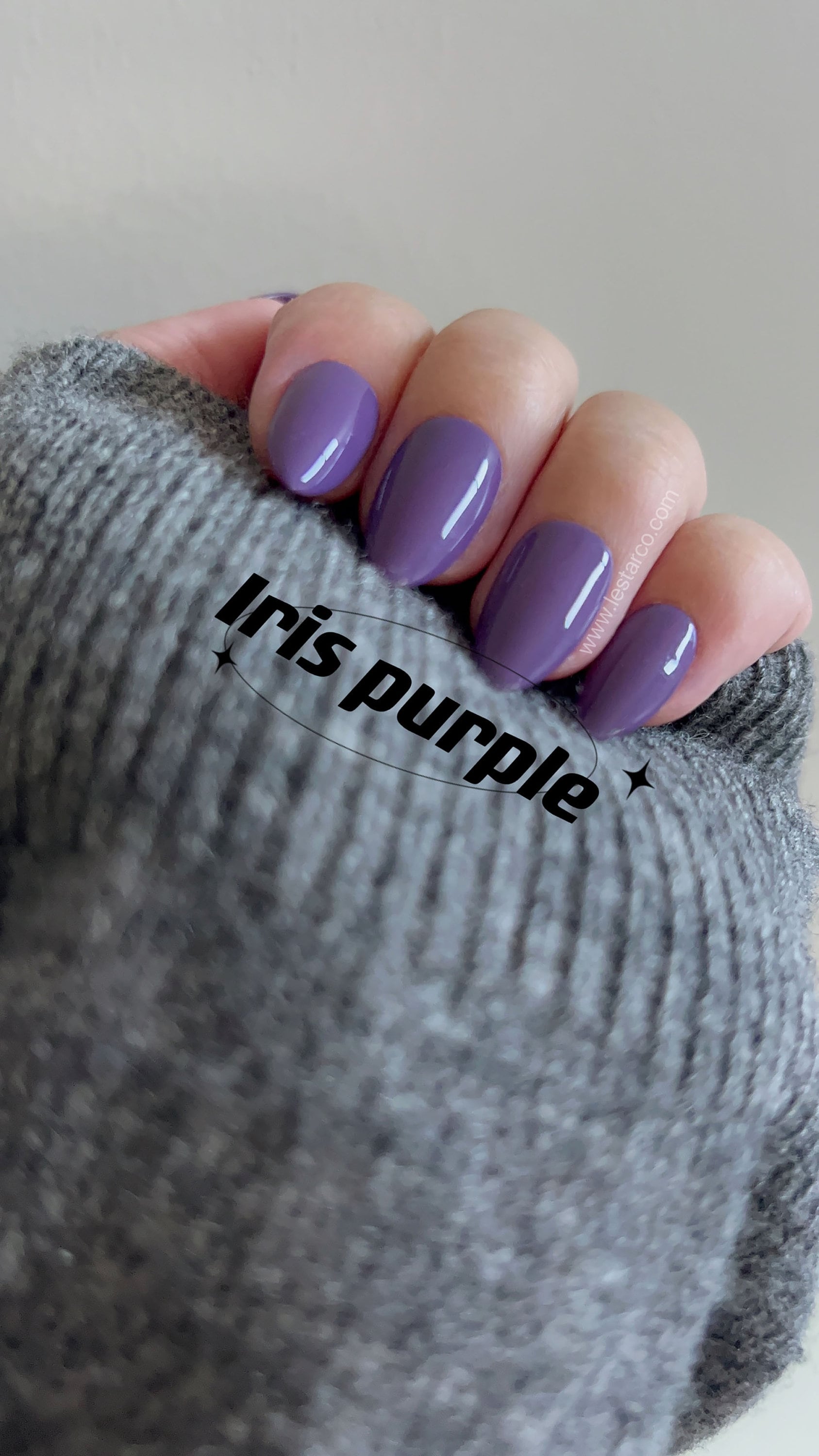 Iris Purple | Gel Polish | Ultra Shine Long Lasting Brush on UV Gels Home Nail DIY False Tips Manicure Nail Art Supply