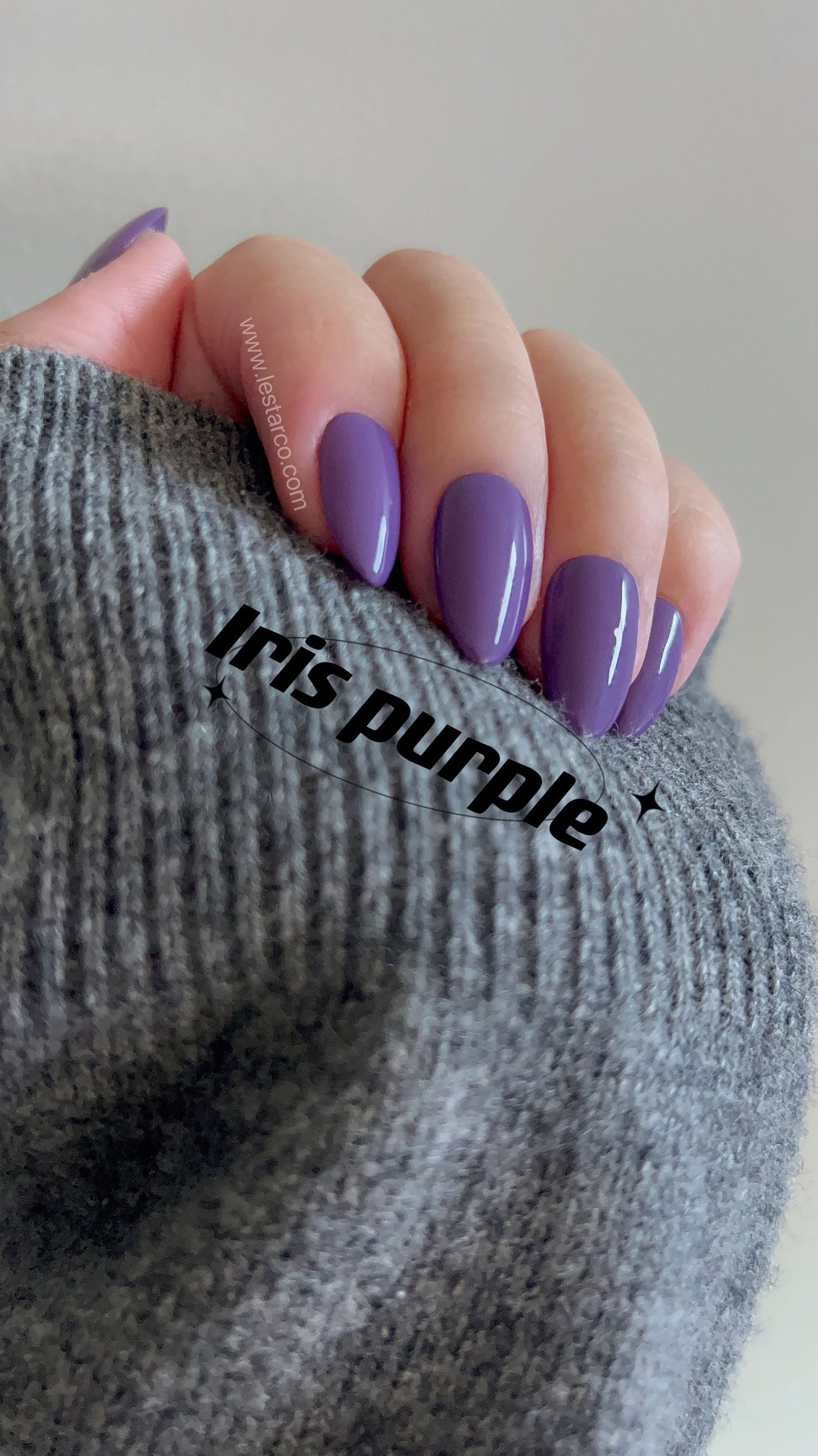 Iris Purple | Gel Polish | Ultra Shine Long Lasting Brush on UV Gels Home Nail DIY False Tips Manicure Nail Art Supply